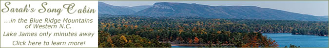 Beautiful cabin in a serene setting, located in the foothills of the Blue Ridge Mountains in Western North Carolina